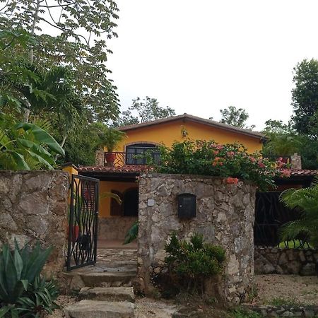 مبيت وإفطار تولوم Casa Mango المظهر الخارجي الصورة