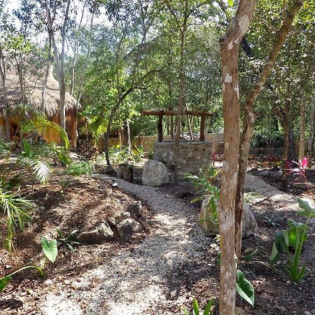 مبيت وإفطار تولوم Casa Mango المظهر الخارجي الصورة