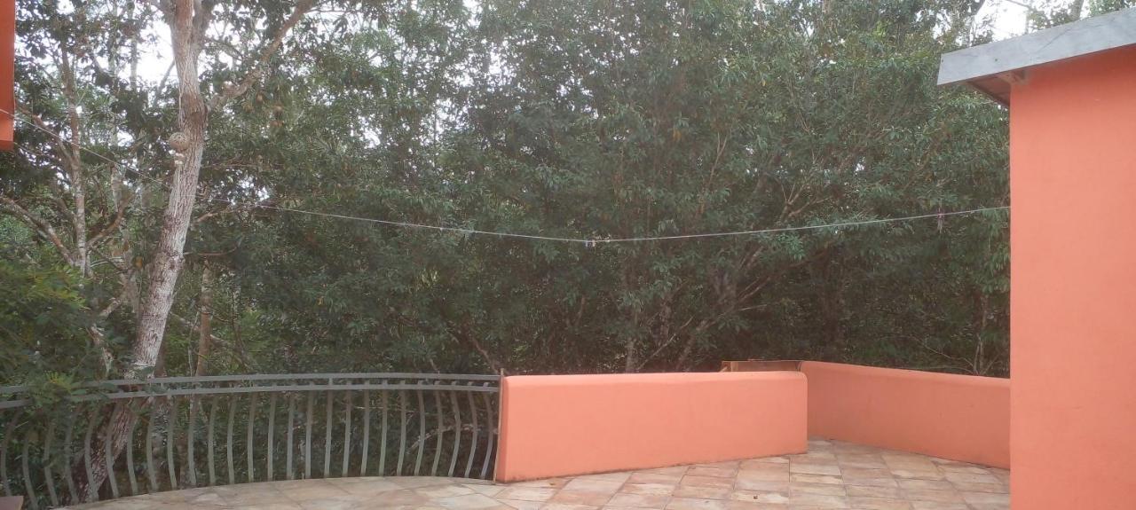 مبيت وإفطار تولوم Casa Mango المظهر الخارجي الصورة