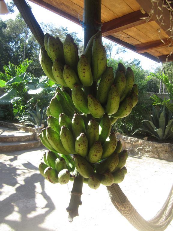 مبيت وإفطار تولوم Casa Mango المظهر الخارجي الصورة
