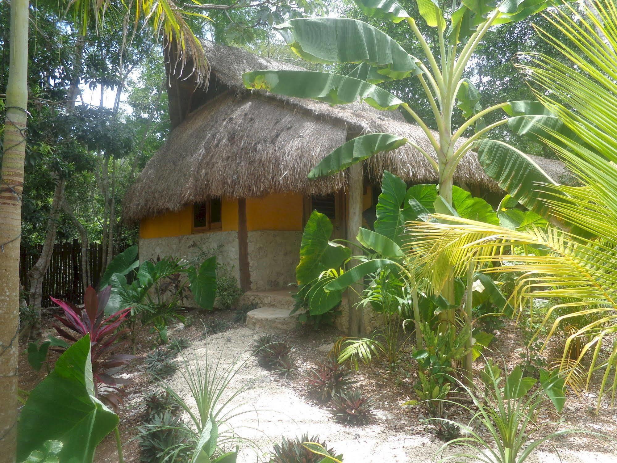 مبيت وإفطار تولوم Casa Mango المظهر الخارجي الصورة