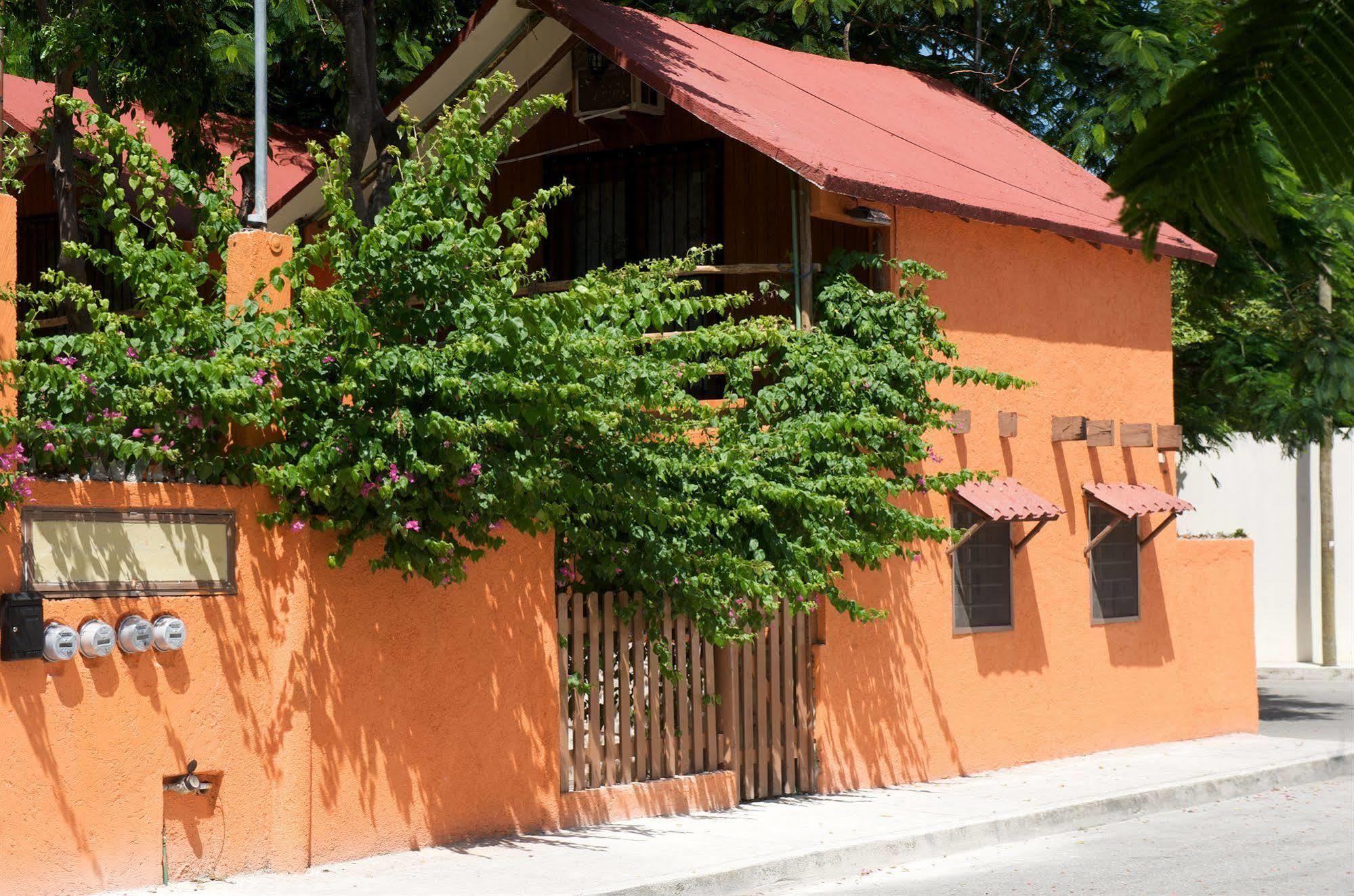 مبيت وإفطار تولوم Casa Mango المظهر الخارجي الصورة